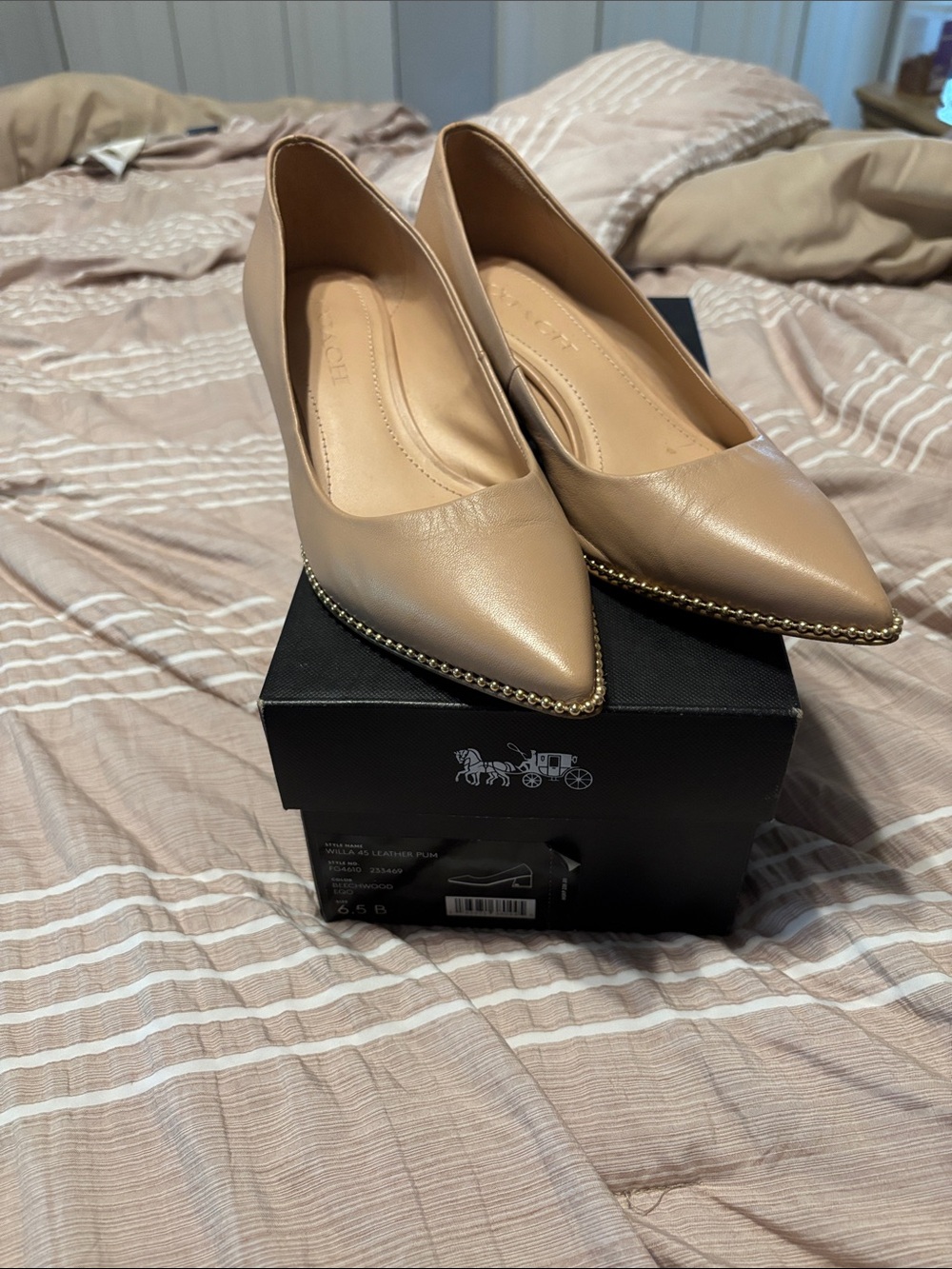 Coach Willa Women's Nude Leather Pointed-Toe Flats with Gold Stud Edge